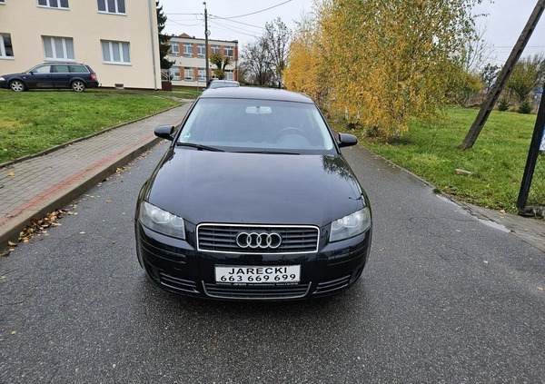 Audi A3 cena 13499 przebieg: 249000, rok produkcji 2003 z Polkowice małe 106